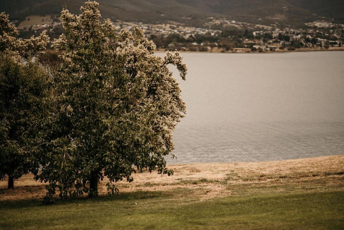 Otago Cottage Хобарт Экстерьер фото